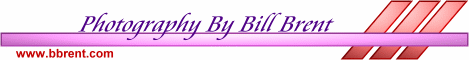 logo.gif (8301 bytes)